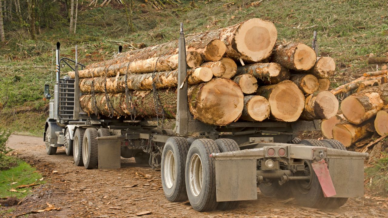 Truck Insurance for Logging and Forestry Businesses