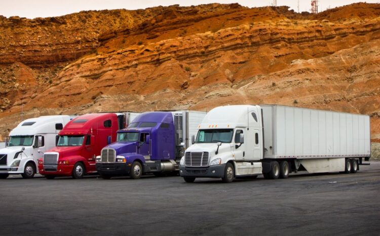 cargo insurance